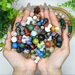 Natural Stones Mini Mushrooms - 10 Assorted Pieces/Assorted Types of Stones